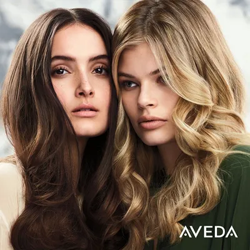Aveda